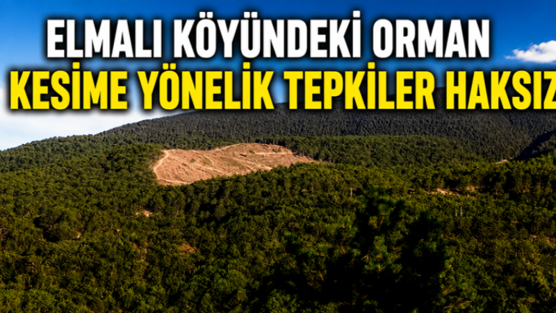 ELMALI KÖYÜNDEKİ AĞAÇ KESİMİNE YÖNELİK TEPKİLER HAKSIZ 