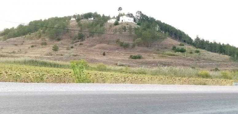 ATATÜRK ORMAN ÇİFTLİĞİ KELLEŞTİ